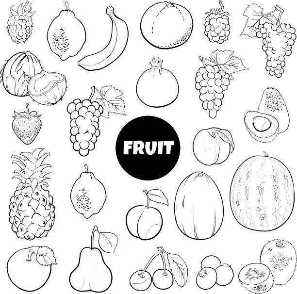 ilustraciones, imágenes clip art, dibujos animados e iconos de stock de dibujos animados de alimentos de frutas frescas conjunto de dibujos animados página de colorear - libro para colorear: frutas y verduras sandía