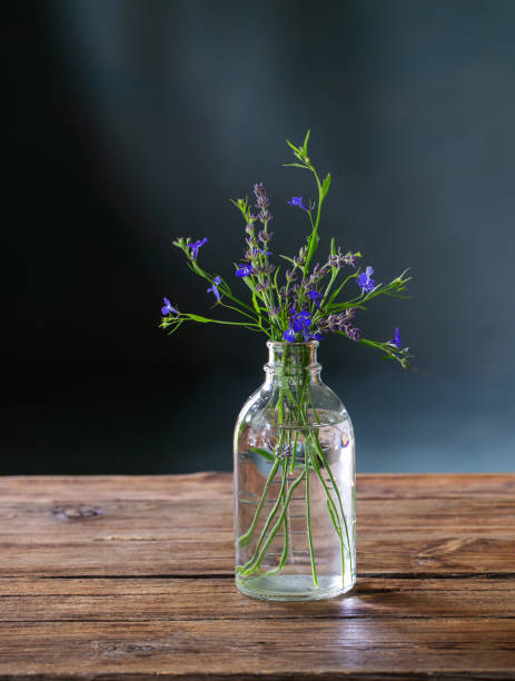 istock blue summer flowers in glass bottle on dark background 1409527666