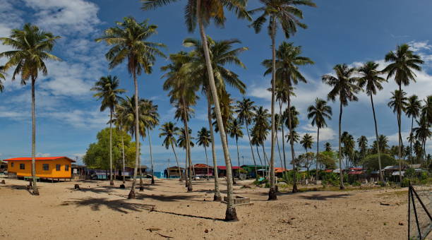 istock Palm Islands of coral reefs 1409529537