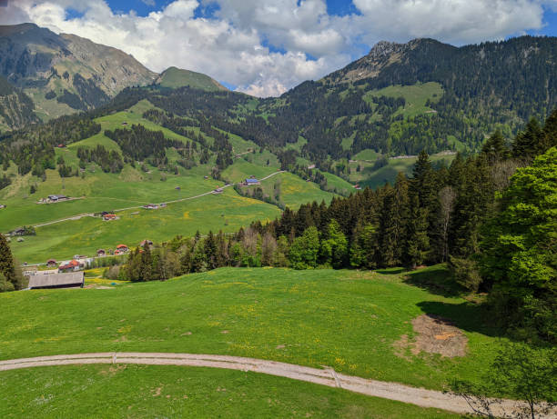 Dirt track through mountains and meadows in springtime in the mountain village of Jaun near Bulle in Fribourg Canton above Gruyere in the Swiss Alps Switzerland Dirt track through mountains and meadows in springtime in the mountain village of Jaun near Bulle in Fribourg Canton above Gruyere in the Swiss Alps Switzerland bulle stock pictures, royalty-free photos & images