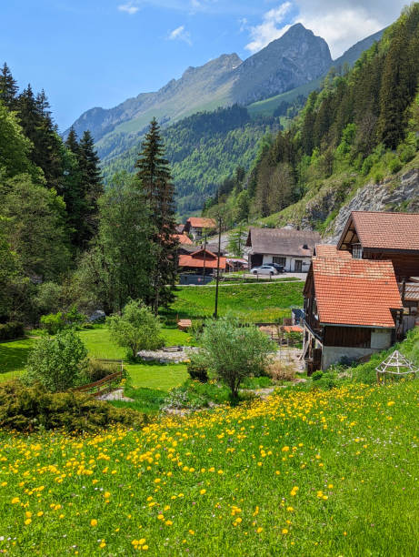 Mountain village of Jaun near Bulle in Fribourg Canton above Gruyere in the Swiss Alps Switzerland Mountain village of Jaun near Bulle in Fribourg Canton above Gruyere in the Swiss Alps Switzerland bulle stock pictures, royalty-free photos & images