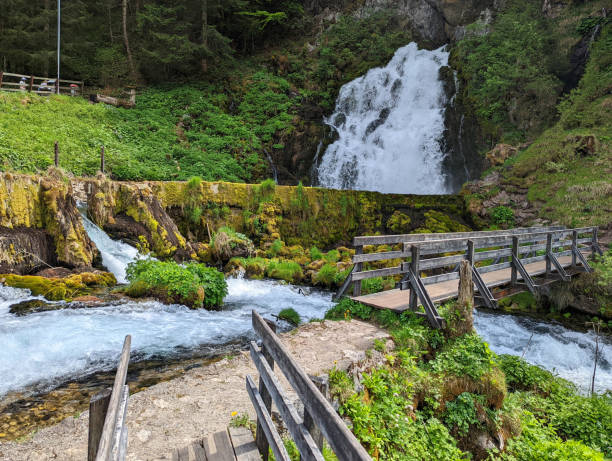 wodospad i system zbierania nawadniania wiosną w górskiej wiosce rolniczej jaun w pobliżu bulle w kantonie fryburg nad gruyere w alpach szwajcarskich szwajcaria - waterfall footbridge switzerland rapid zdjęcia i obrazy z banku zdjęć