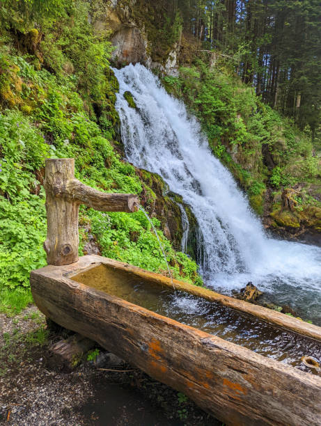 ruscello impetuoso e cascata in primavera nel villaggio di montagna di jaun vicino a bulle nel cantone di friburgo sopra gruyère nelle alpi svizzere svizzera - waterfall footbridge switzerland rapid foto e immagini stock