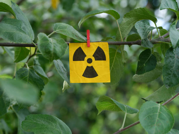 A yellow paper note with a radiation warning sign on it hanging on a tree branch with a clothes pin. Close up.