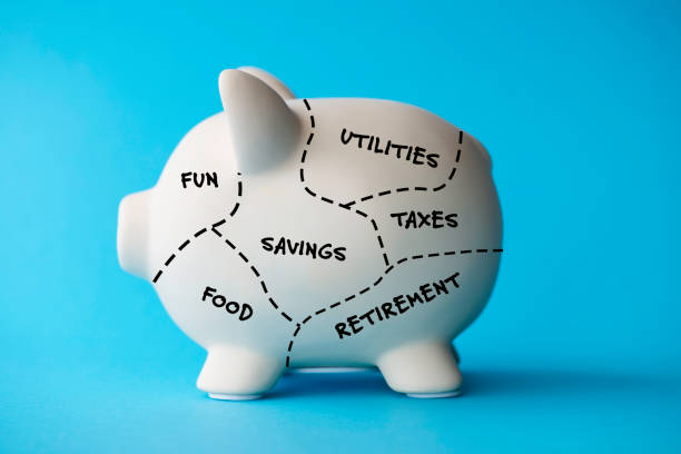 Fianance Planning with Piggy Bank stock photo
