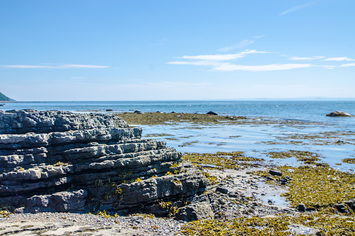 Rock formation, algae and St. Lawrence river during summer day