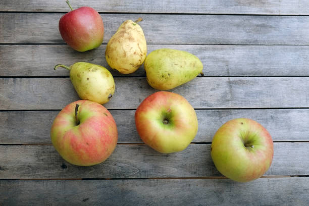 istock Apples and pears on a wooden table top view 1409539613