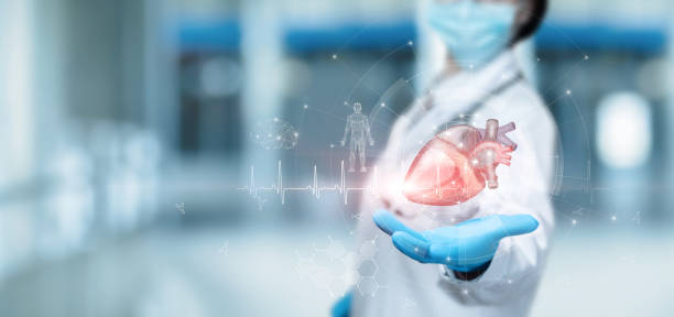 Doctor showing heart on virtual computer screen . stock photo