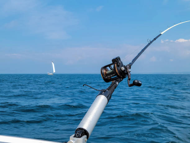 istock Fishing Pole in Rod Holder 1409543182