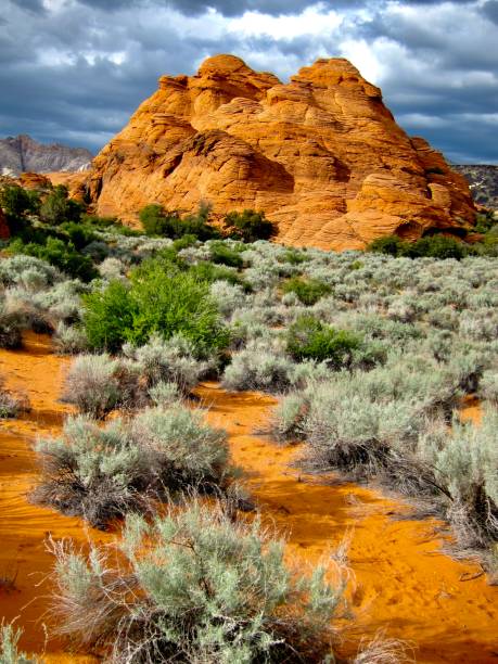 Storm brewing as we hike along the Butterfly Trail in Snow Canyon State Park, Utah.