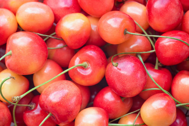 istock Ripe yellow-red cherry close-up. Fruit background. View from above 1409544127