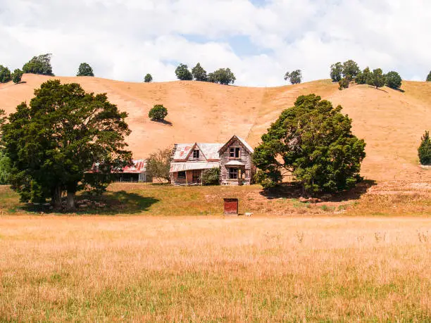 Old abandoned tumbling down rural building in brown parched field with green trees in rural New Zealand.