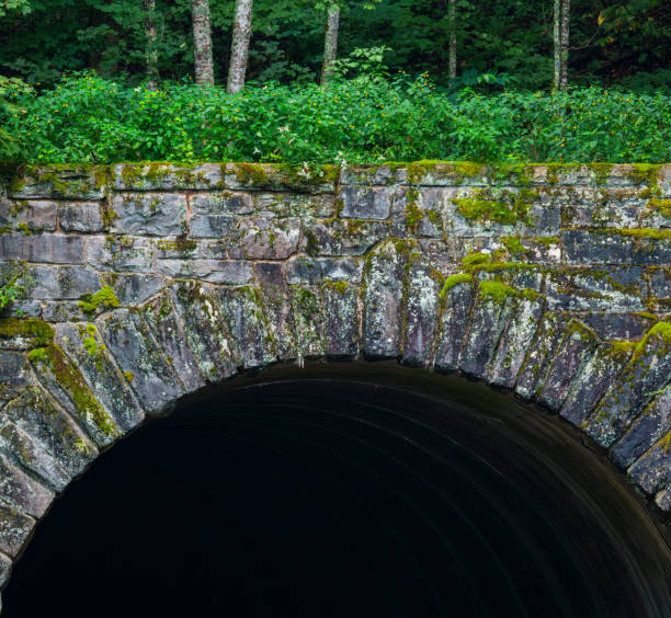 istock Tunnel on the Blue Ridge Parkway 1409545404