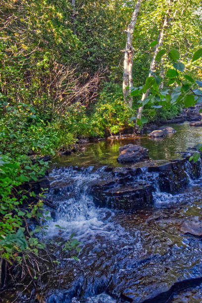 istock Lush vegetation by the riverside - Trowbridge Falls, Thunder Bay, ON, Canada 1409546354