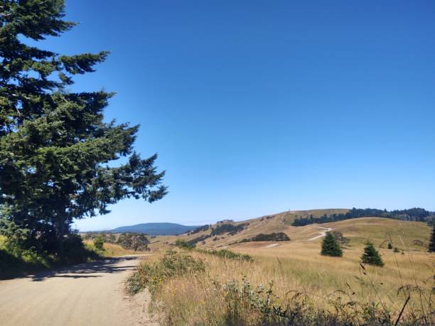 istock Bald Hills Road drive to Orick 1409546522