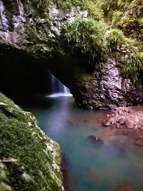 istock Natural Bridge, Cave Creek in Australia 1409549330