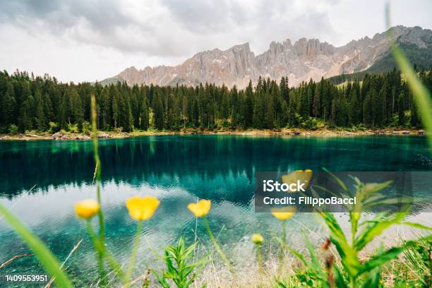 Lake Carezza In Dolomites Karersee Trentinoalto Adige Italy Stock Photo - Download Image Now