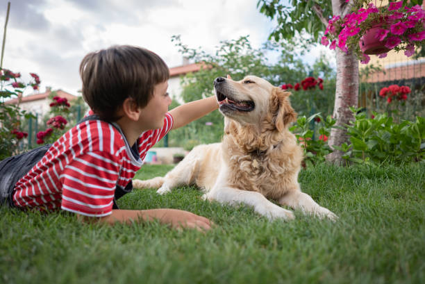 istock Happy little boy stroking his dog in the back yard 1409555327