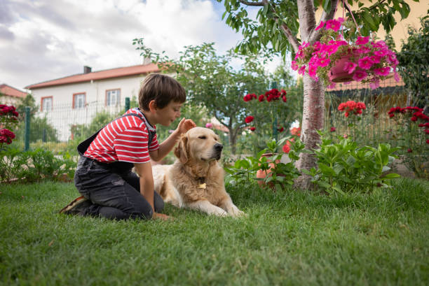 istock Happy little boy stroking his dog in the back yard 1409555498