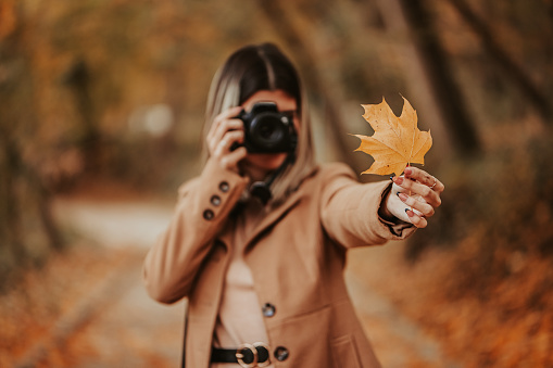 Beautiful young woman photographing a fallen autumn leaf in the park during autumn.