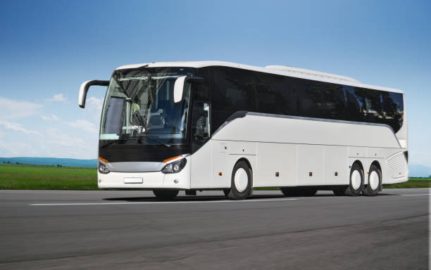 12,800+ Tourist Bus Stock Photos, Pictures & Royalty-Free Images - iStock | London tourist bus