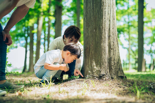 menino e pais explorando a floresta - summer family clothing exploration - fotografias e filmes do acervo