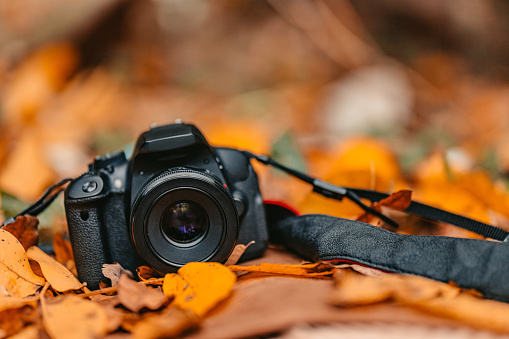Camera on autumn leaves in the park during the day.