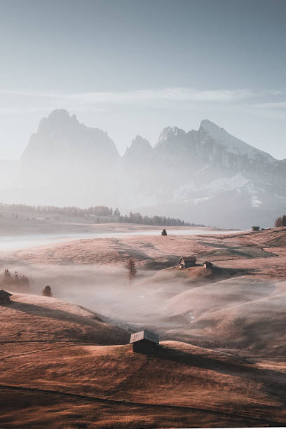 istock Alps Di Siusi, Seiser Alm, Dolomites, Italy 1409559468