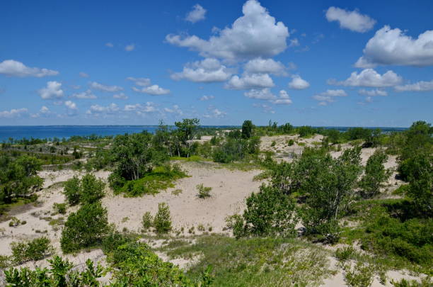 Dunes Beach sand dunes at Sandbanks Provincial Park Dunes Beach sand dunes at Sandbanks Provincial Park in Ontario, Canada.   Sandbanks is the largest baymouth barrier dune formation in the world. It is located on Lake Ontario. sandbanks ontario stock pictures, royalty-free photos & images