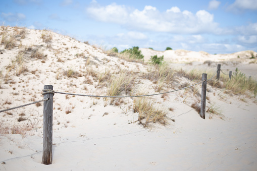 beautiful idyllic beach with grasses and wooden post and strong wind whipping sand along