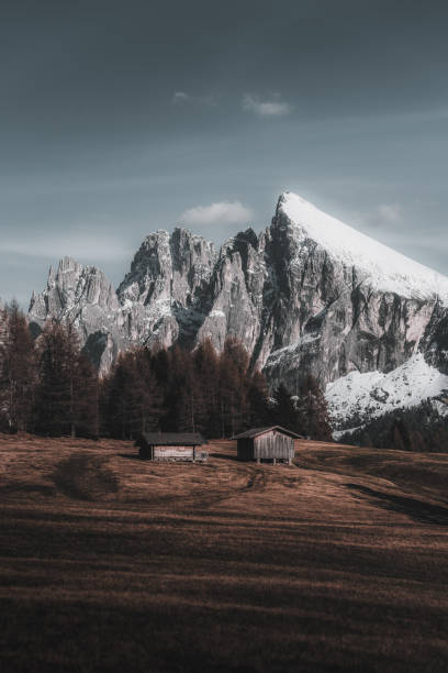 アルプス ディ シウジ、ザイザー アルム、ドロミテ、イタリア - travel seiseralm mountain european alps ストックフォトと画像