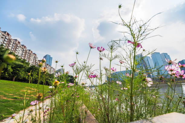 istock Riverside Financial City 1409564656