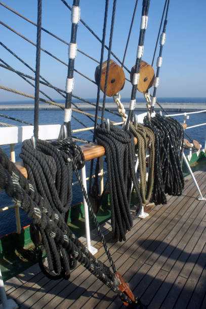 istock The largest training sailing ship in the world, four-masted barge, windjammer. 1409565158