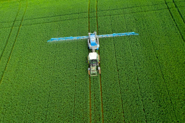 istock Tractor Spraying Wheat Field, Aerial View 1409567349