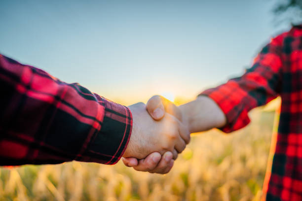 istock Farmers shaking hands in the wheat field 1409570937