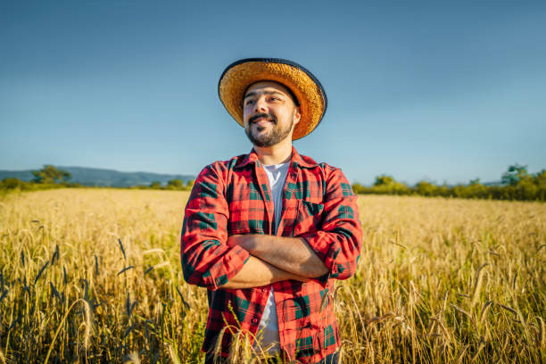 istock Young smiling man in the wheat field 1409571002
