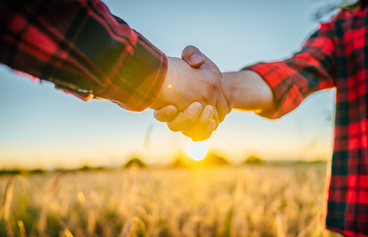 Two farmers shaking hands in the wheat field at sunset