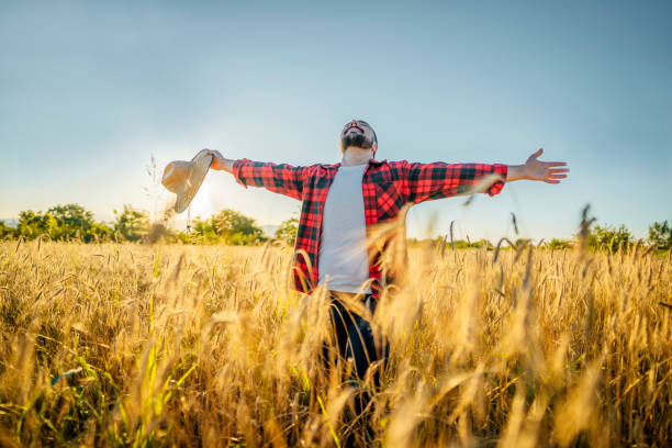 istock Happy farmer man enjoying in the wheat field 1409571932