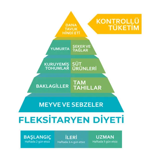 Vector illustration of Fleksitaryen Diyet piramidi (Flexitarian Diet infographics, pyramid in Turkish) Reduce animal products consumption. Eat less meat for wellbeing animal, environment. Changing eating habits to vegan diet