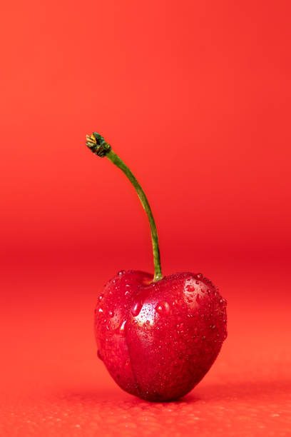 cereza madura de color rojo oscuro o baya de cereza con un tallo sobre un fondo rojo con - drop red delicious apple apple fruit fotografías e imágenes de stock