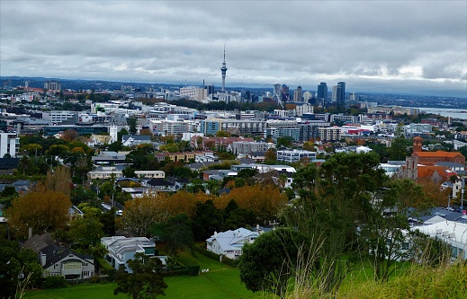 A view from the top of Mount Eden in Auckland, NZ.