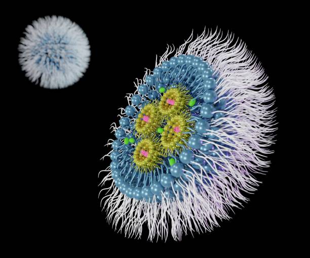 Small interfering RNA or siRNA, mRNA or CRISPR inside of solid lipid nanoparticle