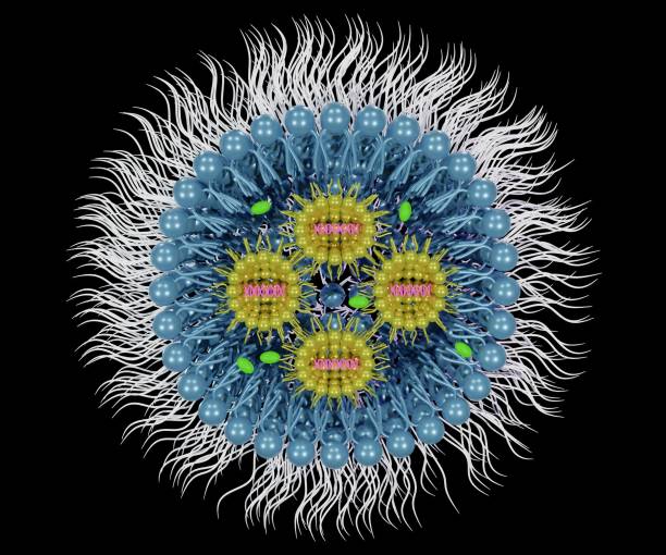 istock Small interfering RNA or siRNA, mRNA or CRISPR inside of solid lipid nanoparticle 1409578456