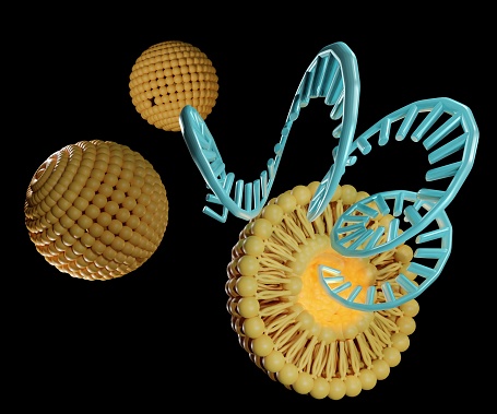 Liposomes are used to efficiently deliver cargo molecules such as siRNA, mRNA, or RNA into cells in vitro and in vivo 3d rendered