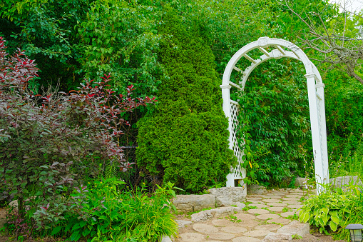Backyard garden arch