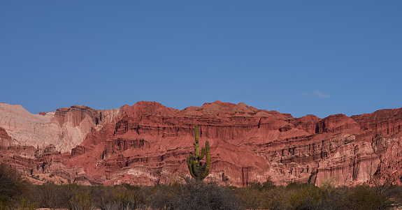 Huge cactus surrounded by beautiful mountains of reddish tones