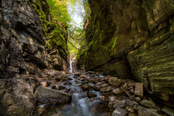 istock Waterfall and stream, deep in the canyon 1409582468