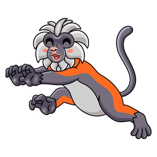 illustrazioni stock, clip art, cartoni animati e icone di tendenza di carino zanzibar rosso colobo scimmia cartone animato a piedi - 5502