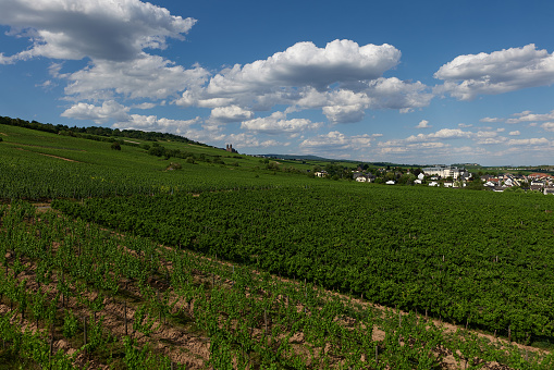 A super wide angle of rolling green landscape of Toulouse in the south of france.