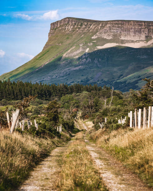Ben Bulben, Dartry Mountains, Co Sligo, Ireland